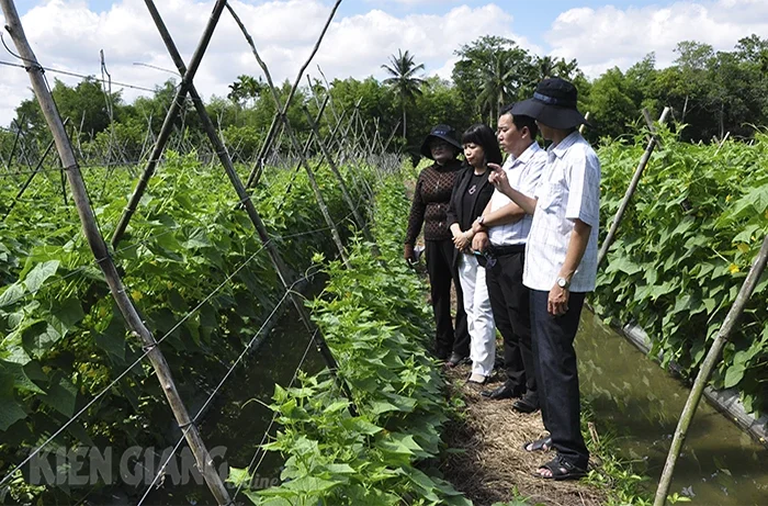 Hỗ trợ hội viên nông dân và người nghèo huyện Giồng Riềng